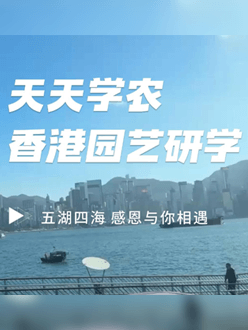 与香港园艺学会联合举办香港园艺研学，专业园境师带队讲解。